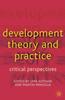 The Development Theory and Practice : Critical Perspectives Book