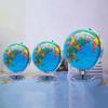 Tianyu 32cm Luminous English Globe for Students and Children