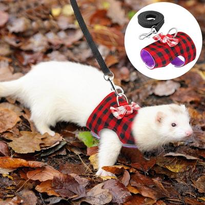 Haustier Kleines Haustier Eichhörnchen Kleines Tier Hamster Geschirr Meerschweinchen Frettchen Geschirr und Leine