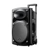 Newsmy 12-inch Portable Bluetooth Trolley Speaker (CN Version)