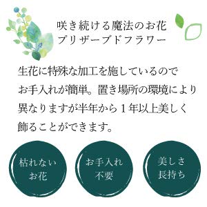 Preserved Flower Dome, Flower Dome, Buddhist Flowers, Offering Flowers, Violets, 1 Piece, Pink