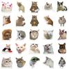 50PCS Cute Cat Stickers Vinyl Waterproof Funny Cats Decals for Water Bottle Laptop Skateboard Scrapbook Luggage Kids Toys