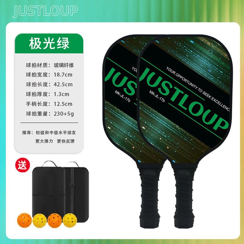 Professional Fiberglass Pickleball Paddle Set USAPA Approved Indoor Outdoor Game