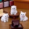 Voyyphixa Miniature Dog Set of Cute Small Dog DIY Tabletop Landscape Bonsai Fun Gifts for New and More Figurines, 10, Figurines, Decor, Gifts,