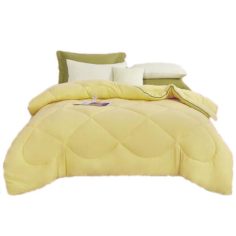 

Hongdou HDB-2220 Ginger Warm Fleece Winter Duvet