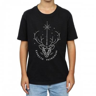 Överdelar (Pojkar från 4 år) – T-shirts