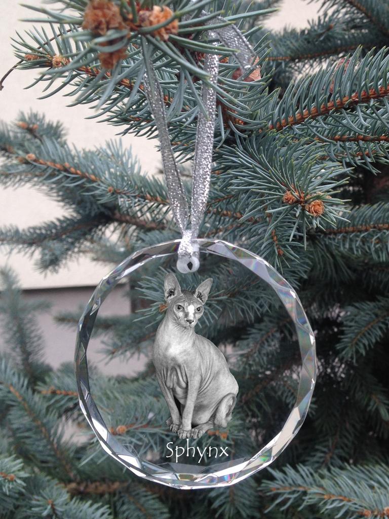 Sphynx – Crystal bauble with a photo, photo of a cat in crystal | Art-Dog