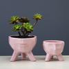 Simple And Creative Blue Succulent Flower Pot, Desktop Pink Plant Cartoon Ceramic Flower Ware