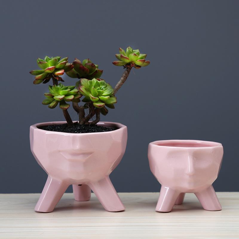 Simple And Creative Blue Succulent Flower Pot, Desktop Pink Plant Cartoon Ceramic Flower Ware