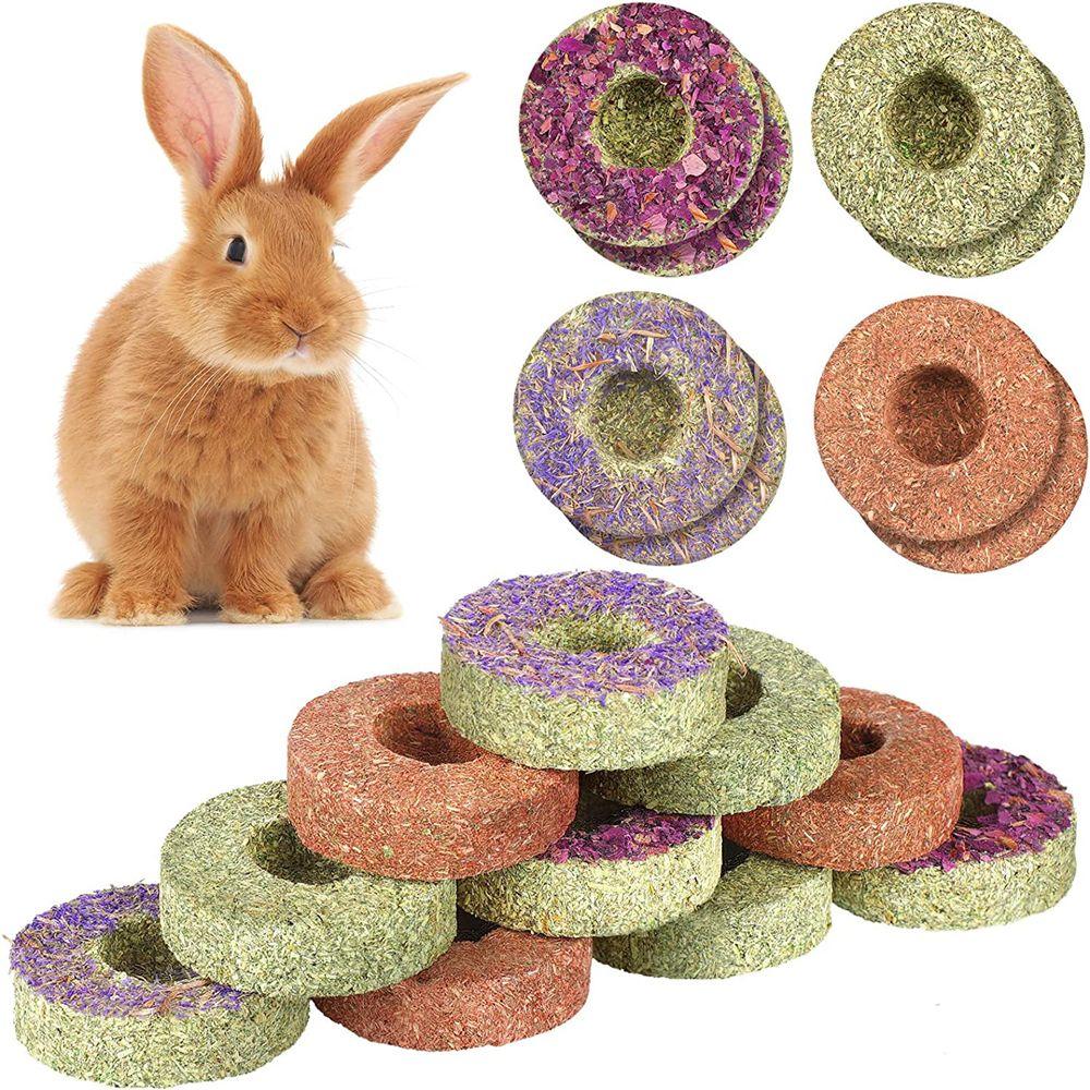 Flowers Flavored Chinchillas Snack Food Cookie Hamster Treats Rabbit Chew Toys Timothy Hay Cakes