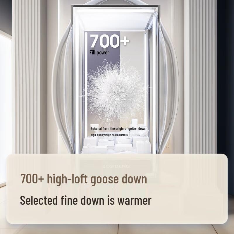 Bosideng B40144108 Classic Business Goose Down Jacket