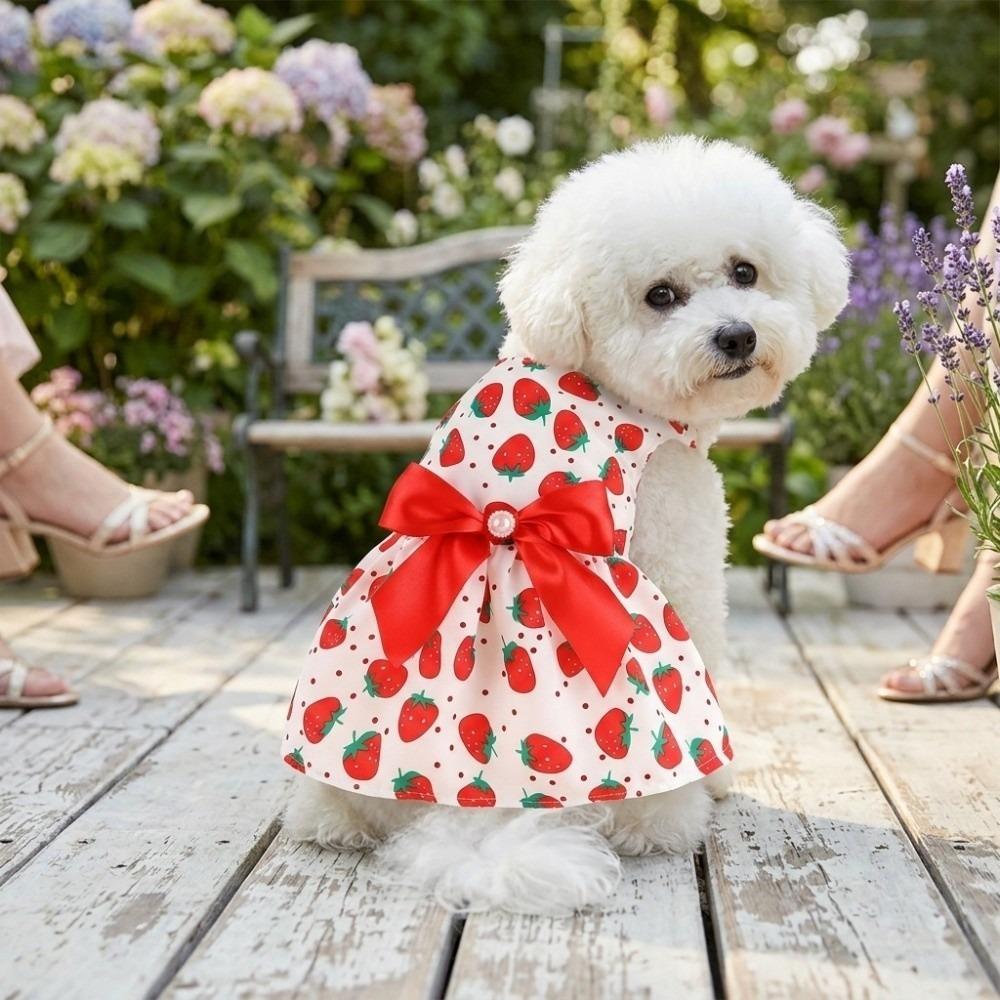 Thin Dog Dress Lightweight Princess Outfit Eye-catching Strawberry Costume  Party Dressing