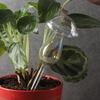 Flower Waterer High Borosilicate Glass Automatic Plant Watering Globes for Indoor Potted Plants Balcony Garden Orchids