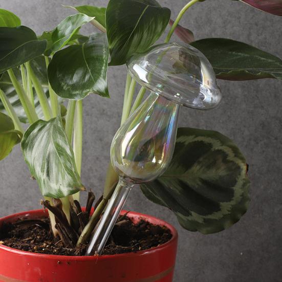Flower Waterer High Borosilicate Glass Automatic Plant Watering Globes for Indoor Potted Plants Balcony Garden Orchids