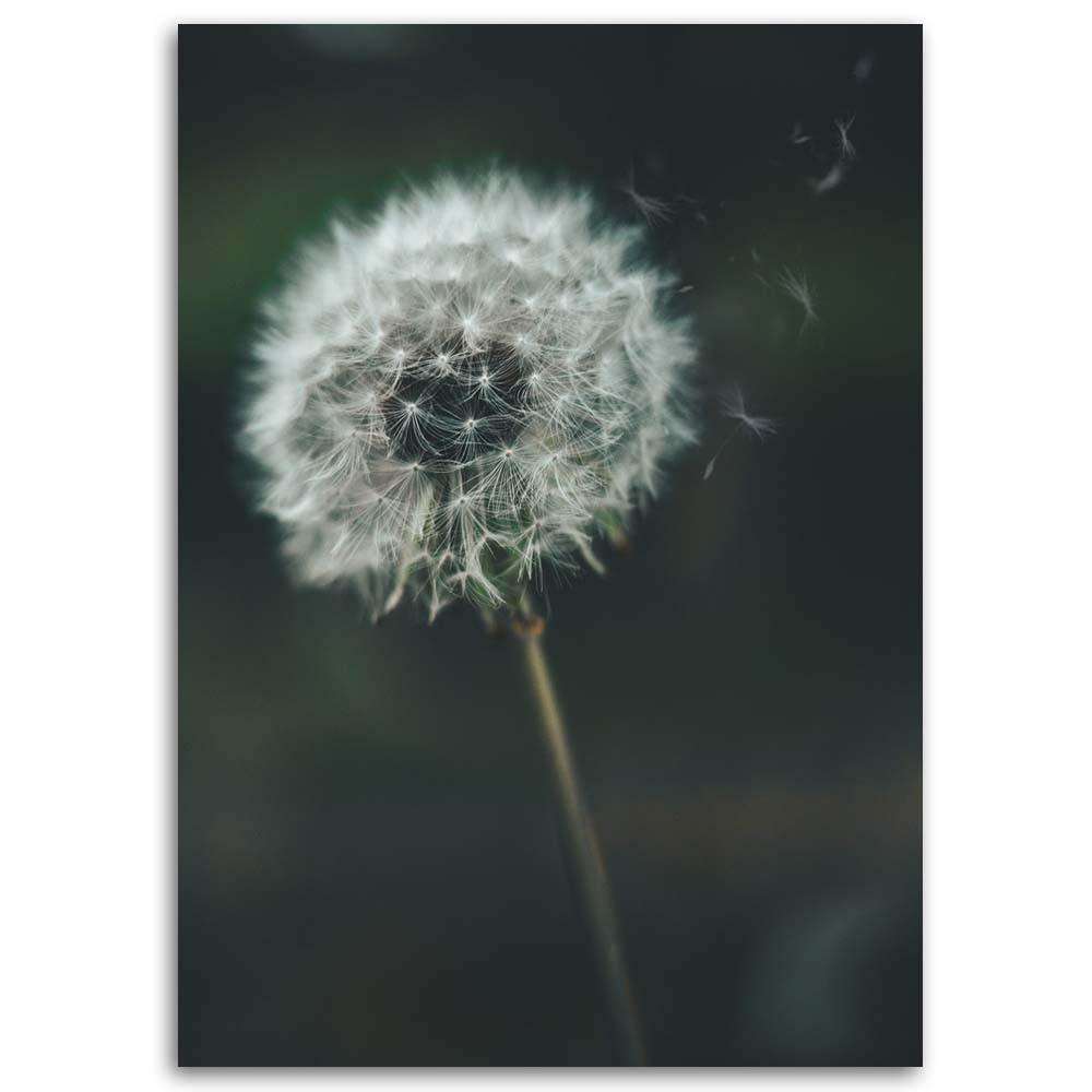 Canvas Print, Blower In the Wind