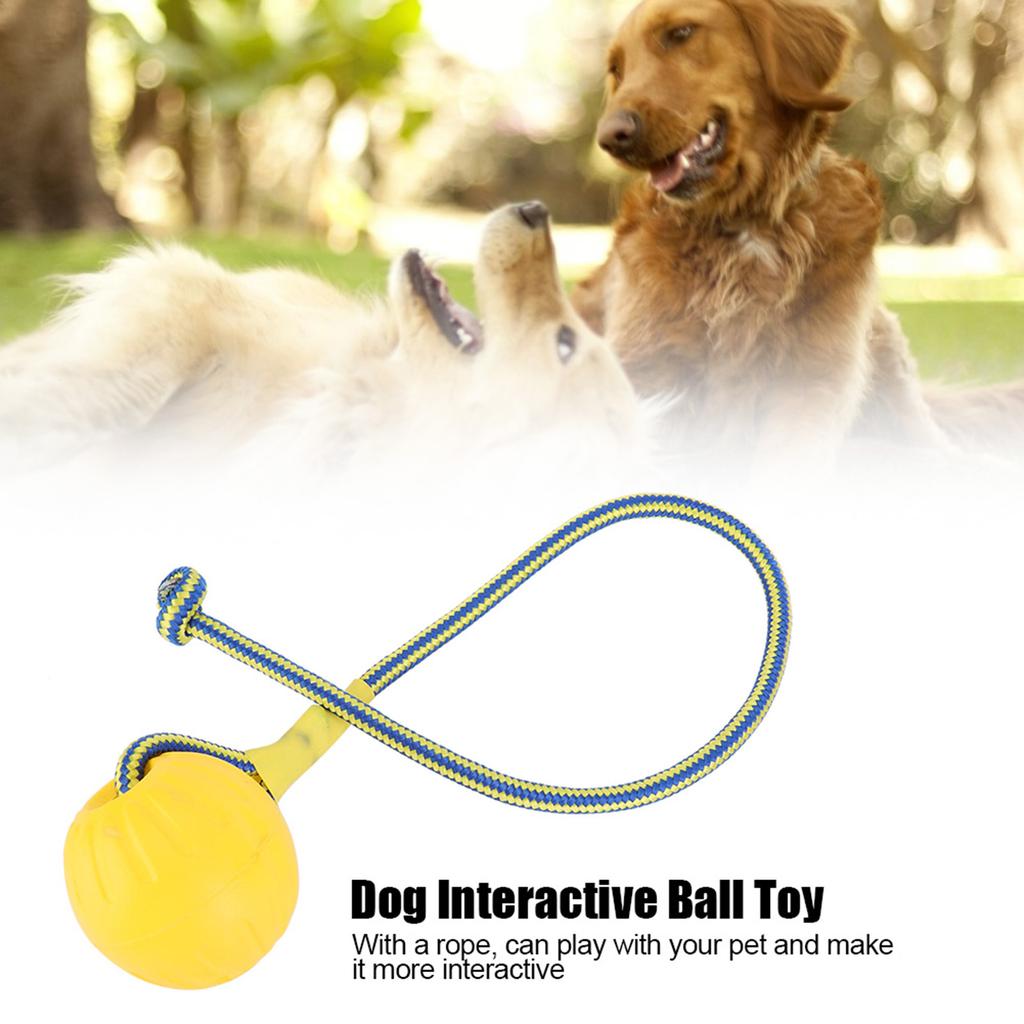 Portable EVA Pet Dog Training Bite Resistant Interactive Chew Toys with Rope(Red)