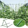 40Cm Plant Stakes Gardening Pillar For Plant Vine Climbing Net Greenhouse Tomato Cage Flowers And Vegetables Supporting Holder