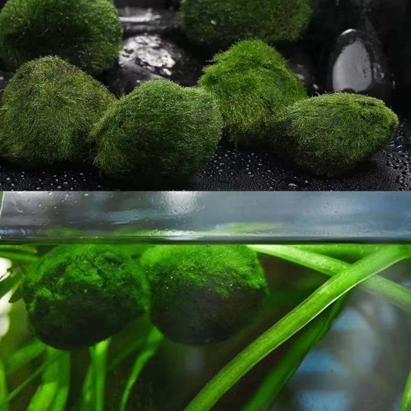 Neue 1 PCS Nachahmung Moos Beflockung Stein Falsche Stein Rasen Micro Landschaft Ornamente Dekorative Zubehör Wohnkultur 2023