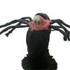 Spider and Skull Costume for Small to Medium Pets