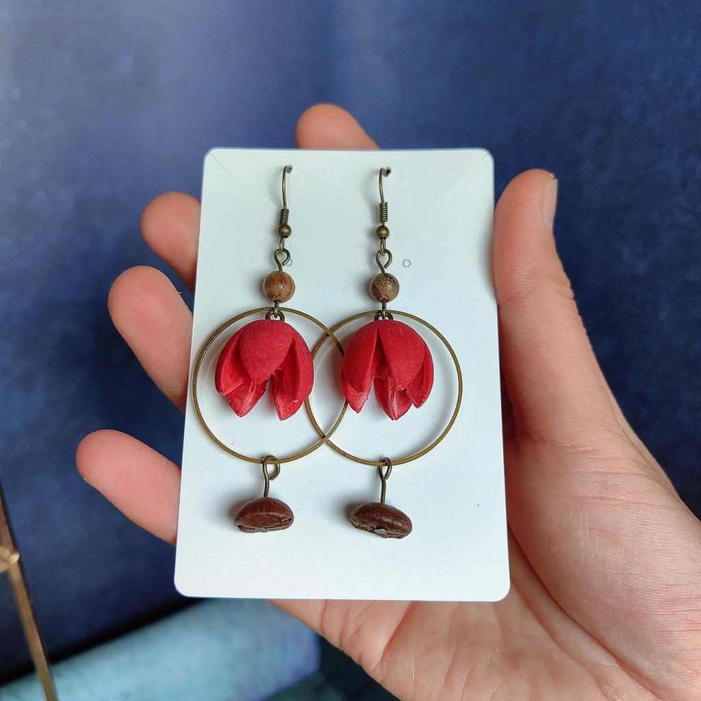 Fruit Earrings - Handmade Natural Dried Fruit Earrings, Retro Chinese Medicine Ethnic Style, for Women.