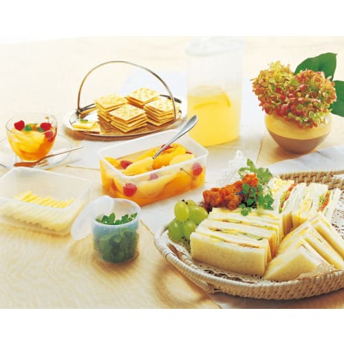 Iwasaki Natural Keeper Bat Keeper Storage Container, 2.4L (L), B-381 N