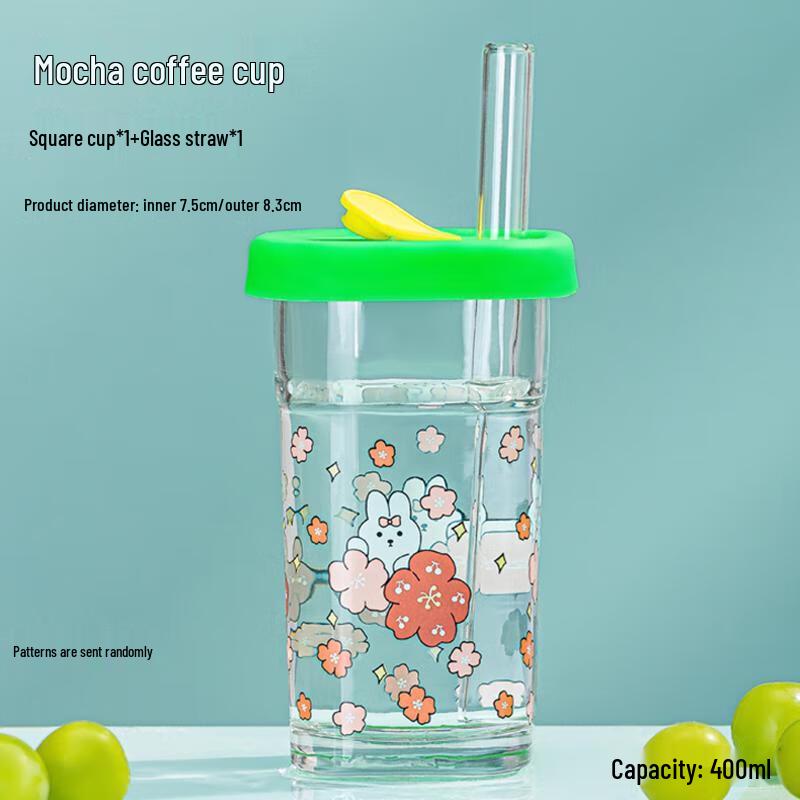 Glass Coffee Mug Set with Handle, Straw & Stirrer 1 Set