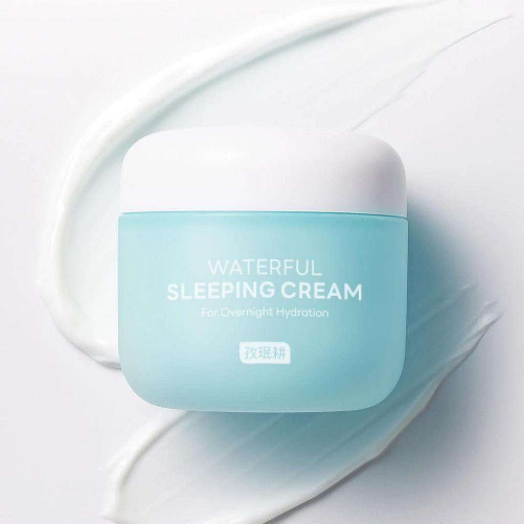 Jaminkyung Waterful Sleeping Cream 60ml
