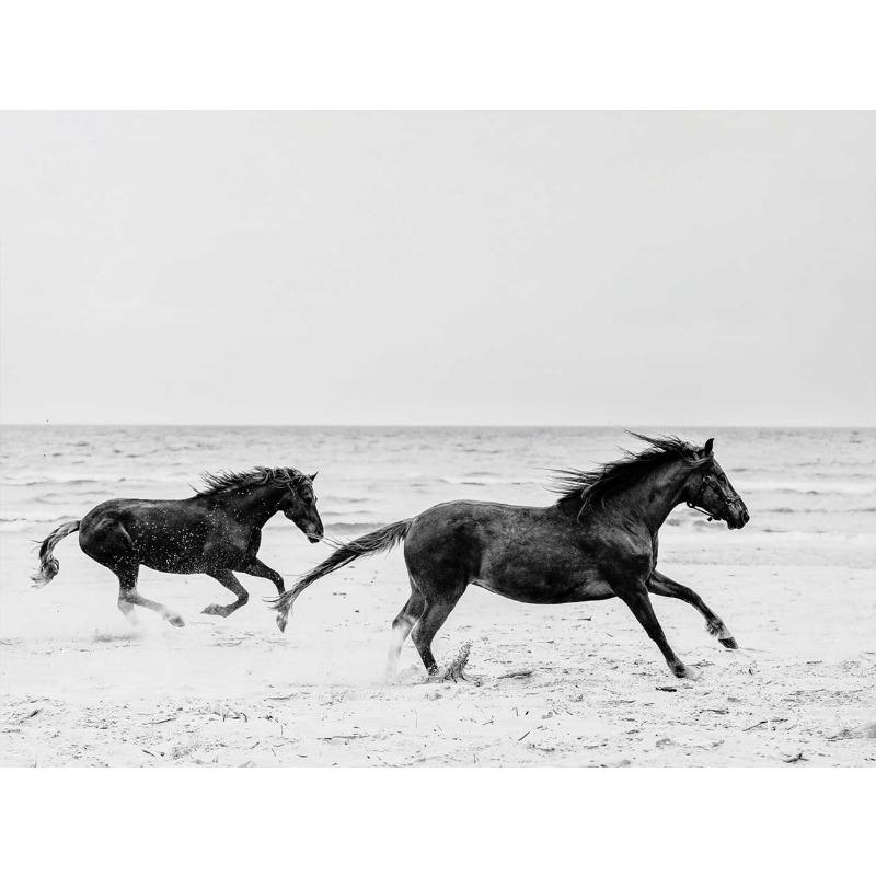 Černobílý portrét koně Plakátový tisk Plátno Malba Běžící koně Zvířecí nástěnné umění Obrázek pro pokoj na statku Domácí dekorace