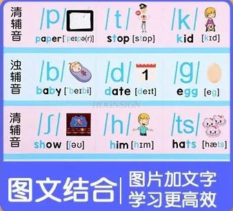 The Latest Version Of 48 English International Phonetic Alphabet Audio Wall Charts For Elementary School Students' Word Learning