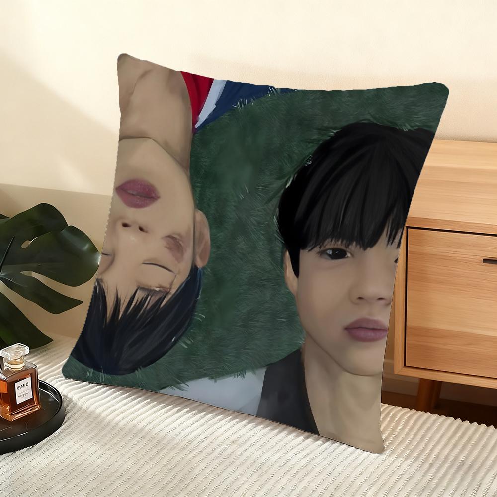 Cushion Cover Silky Short Plush Home Sofa Cushion Cover - Invisible Zipper Home Decoration WeakHero TV Series