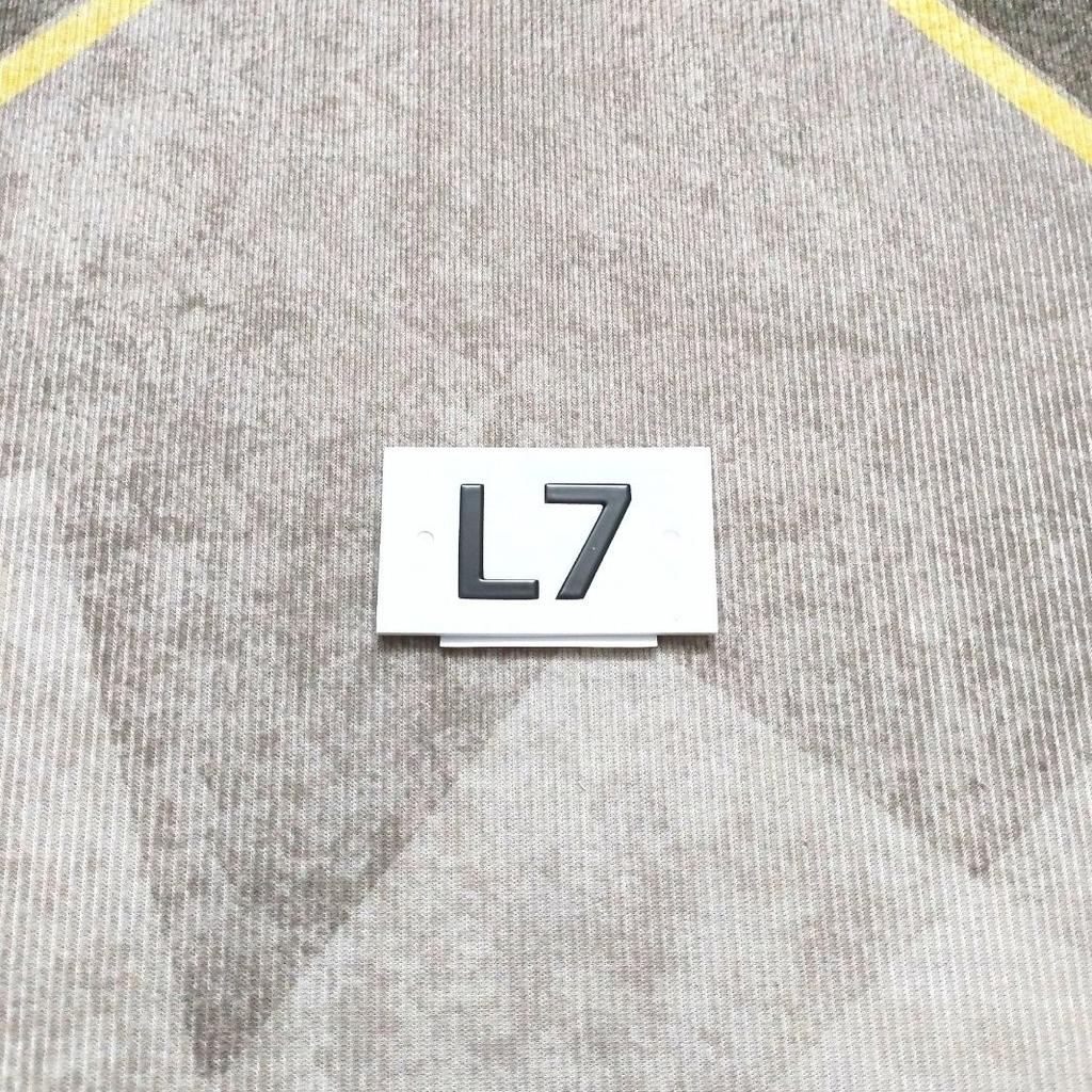 Ideal L9 L8 L7 L6 front hood logo is bright black, rear logo is pasted with tailgate lettering, original factory bright black