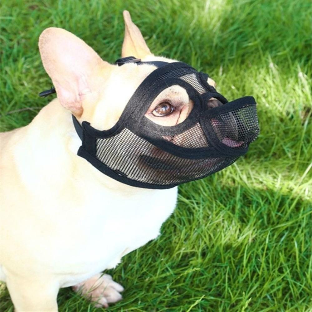 Practical Mesh Dog Muzzle Adjustable Drinkable Dog Anti-Biting Muzzle Breathable Anti-Eating Dog Stop Barking Mask Stop Barking
