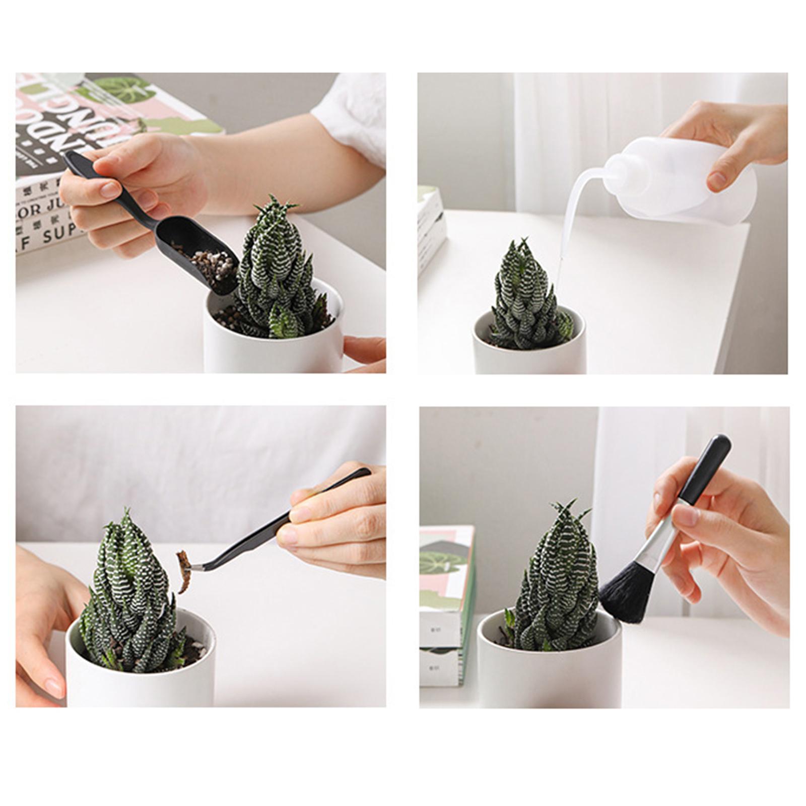 

Набор инструментов для посадки сада, 8 шт., включает мини-грабли, лопаты, пинцет, бонсай, суккулентную пересадку