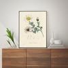 Botanical Fern Flower Poster Print Canvas Art Pictures Home for Living Room and Bedroom Wall Modern Decor Frameless Painting