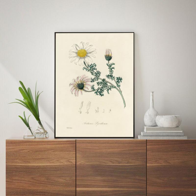 Botanical Fern Flower Poster Print Canvas Art Pictures Home for Living Room and Bedroom Wall Modern Decor Frameless Painting