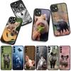 Schwein Wildschwein Wolf Handyhülle Case für Samsung Galaxy S25 S24 S22 S23 FE Ultra Plus A56 A05 A06 A15 A16 A55 S7 Edge Hülle
