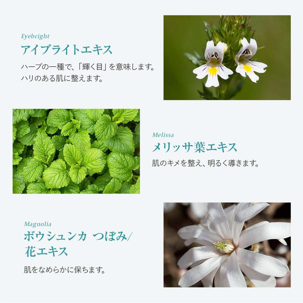 Eve Eve Sheer Beauty Lotion Summer's Summer's