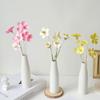 White Ceramic Bud Vase Small Flower Vases Hydroponic Plants Pot Modern Decorative Vases for Home Living Room Dining Table Decor