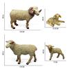 Sheep Animal Figurines, Simulation Zoo Farm for Kids Gift Home Desktop Decor