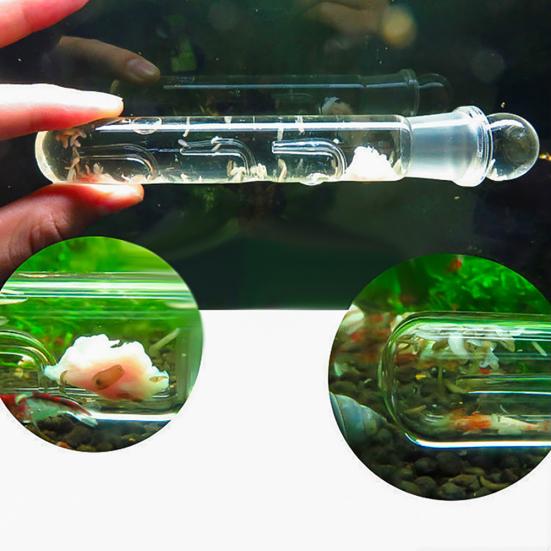 Glas 3-Loch Aquarium Schädlingfänger Aquarium Planarien Egel Wurmfalle Reiniger