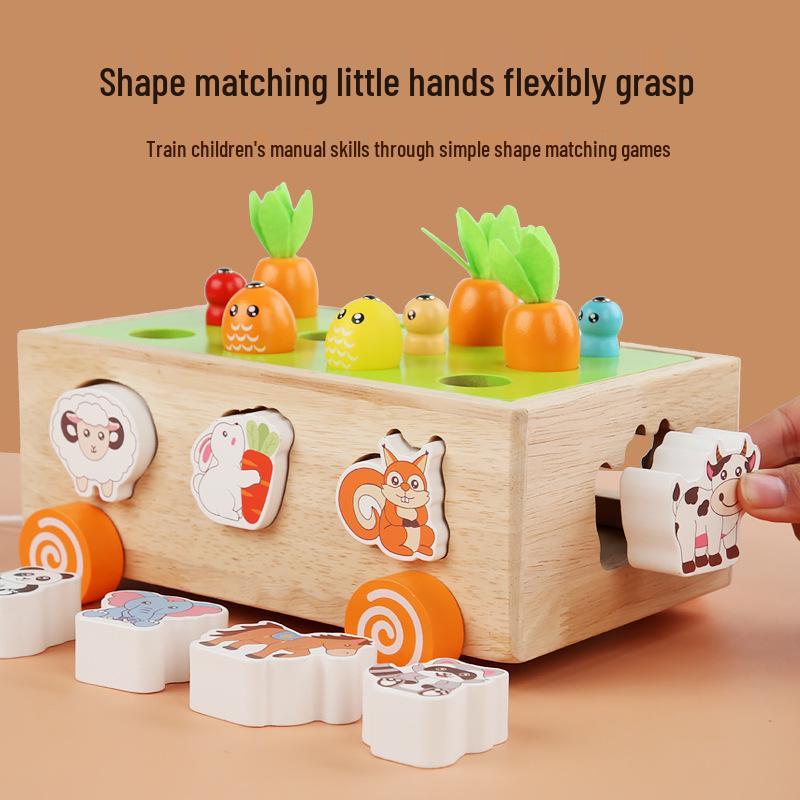 Farm Orchard Shape Building Blocks and Worm-Catching Toy Set for Kids