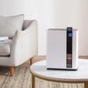 3L Dual-Core Mini Dehumidifier for Home, Bedroom, Dorm - 24/7 Moisture Absorber and Air Purifier