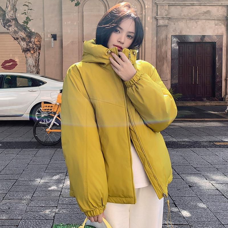 Lazy wind short coat women's autumn new long-sleeved hooded loose top coat