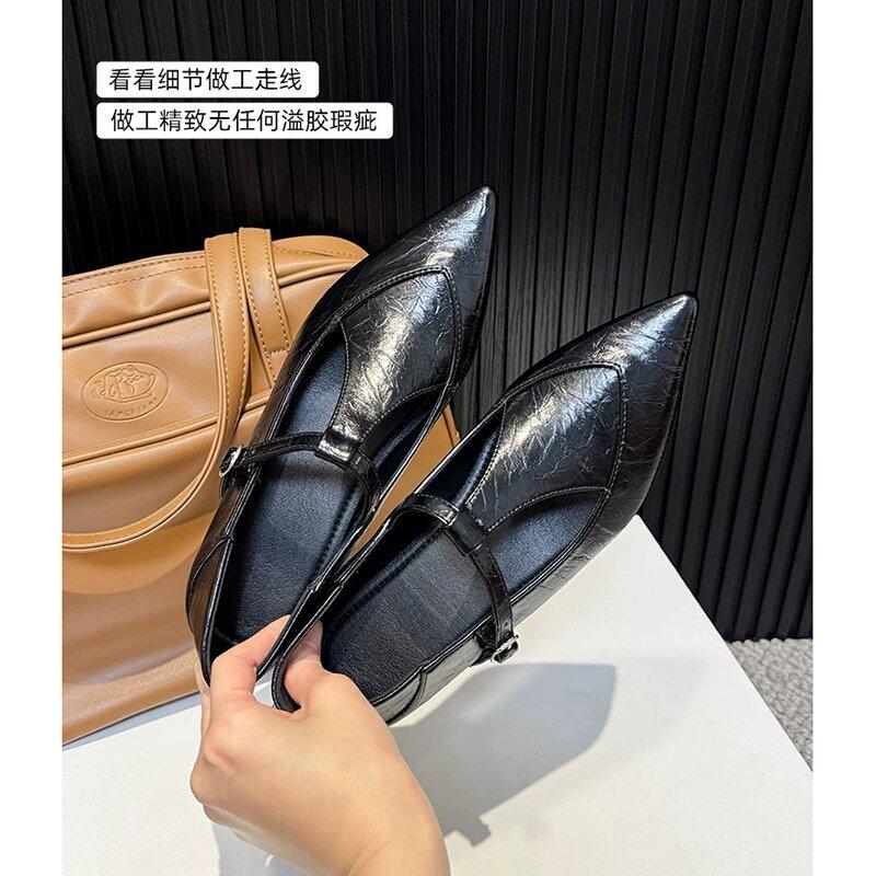 French temperament pointed single shoes women's 2025 new shoes autumn women's low heels with skirts Mary Jane loafers