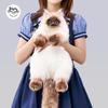 Cute Siamese Cat Plush Backpack for Girls Adorable Doll Bag Warm Winter Surprise Gift for Girlfriend