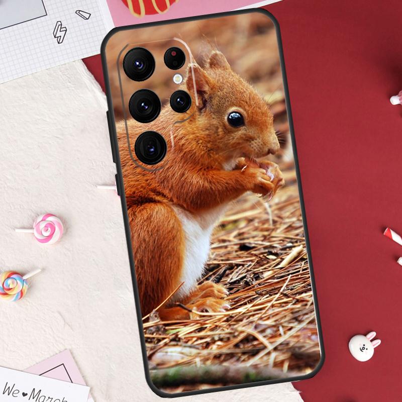 

Squirrel Cute Animals Case For Samsung Galaxy S26 Ultra S20 S21 S22 S23 S24 S25 Ultra S10 Plus S25 FE Cover Shell Galaxy S21Ultra