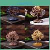 Natural Crystal Wealth Tree Home Decor With Rainbow Colors For Living Room Display