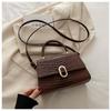 Women's 2024 Fashion Niche Textured Small Square Bag - Versatile Shoulder & Crossbody Handbag