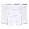 Boxer Size ck003 [Calvin Klein] Men's Briefs/Trunks, M, Assorted, [Item]