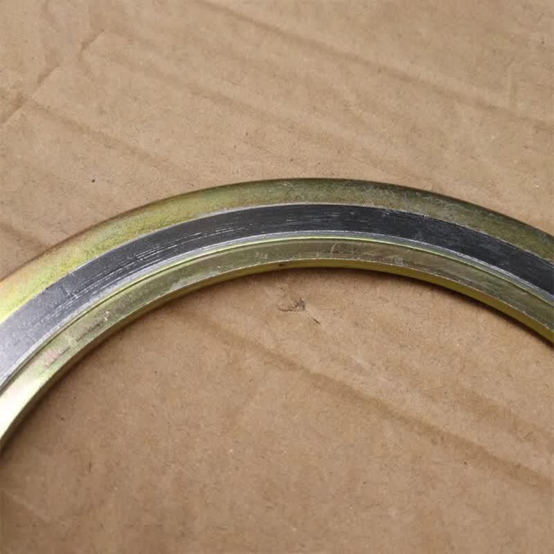Bishaer Metal Graphite Spiral Wound Gasket